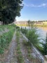 Foto segnalazione MVV-39100