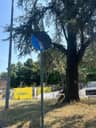 Foto segnalazione MVV-06383