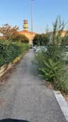 Foto segnalazione MVV-73203