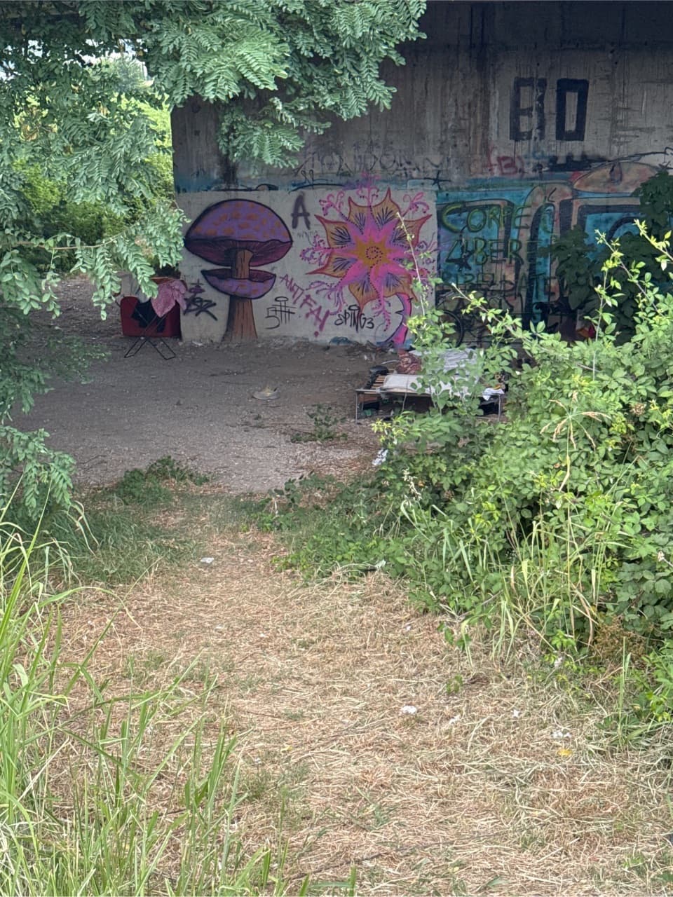 Area con rifiuti e graffiti