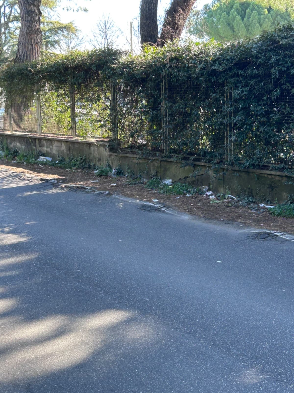 Via Don Giovanni Minzoni 50